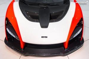 McLaren Senna 2019 года 